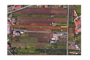 Terreno agricolo a San Cesareo