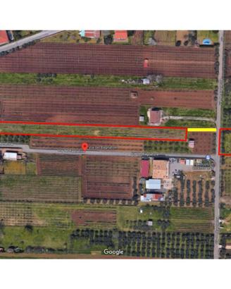 Terreno agricolo a San Cesareo