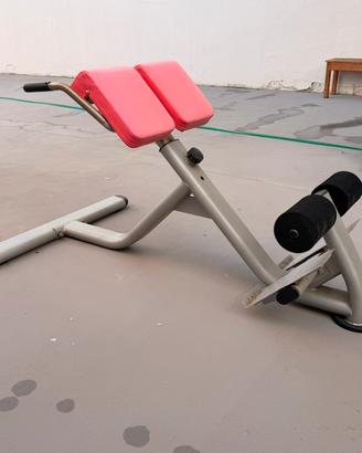 Panca Romana Iperestensioni Lower Palestra Fitness
