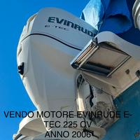 Motore Evinrude E-Tec 225 cv