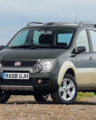 Ricambi usati fiat panda cross 2008 #d