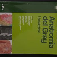 Anatomia del Gray