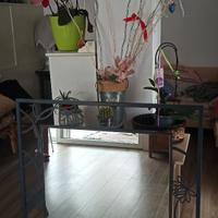 Specchio in ferro battuto  fiori stilizzati