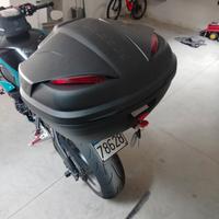 bauletto e accessori Yamaha MT 10 