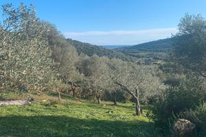 Agricolo con possibilità di costruire