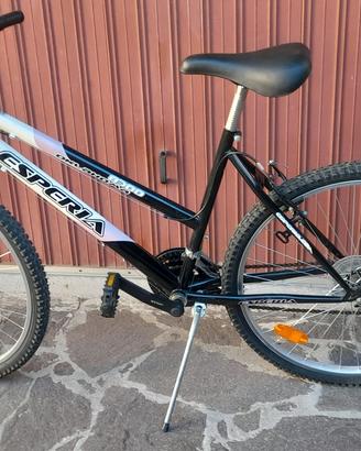 bicicletta da donna 
