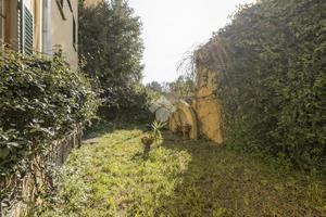 MULTILOCALE A FIRENZE