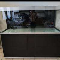 Acquario Oase HighLine 600 Optiwhite 