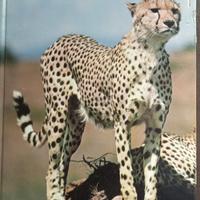 enciclopedia degli animali