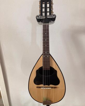 Mandolino MD-001 matsikas