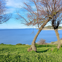 Stanza uso giornaliero o settimanale