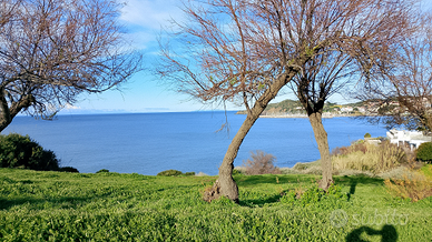 Stanza uso giornaliero o settimanale