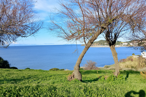 Stanza uso giornaliero o settimanale