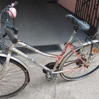 Bicicletta donna