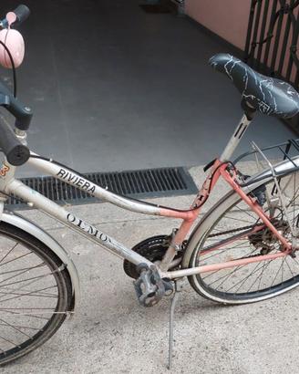 Bicicletta donna