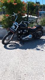 *Splendida* HD Softail Standard