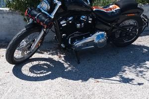 *Splendida* HD Softail Standard