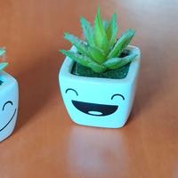 PICCOLO LOTTO ORNAMENTI