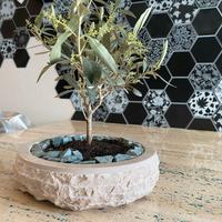 Vaso per bonsai in pietra naturale