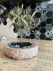 Vaso per bonsai in pietra naturale