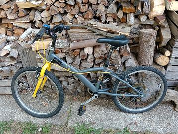 Bici 5 velocità 20''