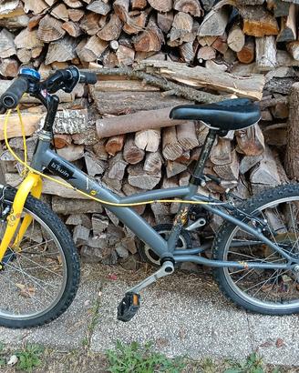 Bici 5 velocità 20''