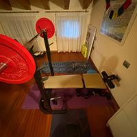 Panca Weider Pro 205