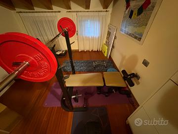 Panca Weider Pro 205