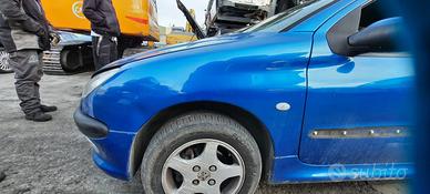 PEUGEOT 206 ANNO 2004 - PARAFANGO SINISTRO