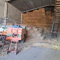 Erba medica di primo taglio in ballette