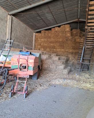 Erba medica di primo taglio in ballette