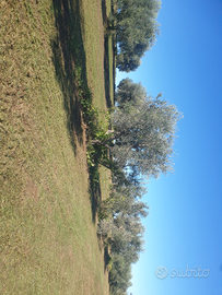 Terreno con vista panoramica