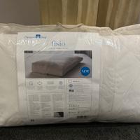 Nuovo cuscino anatomico Fisio di Daunenstep