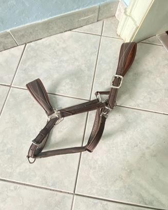 Capezza cavallo