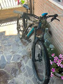 EMtb Specialized