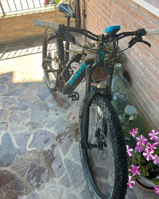EMtb Specialized