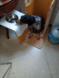 seggiolone sedia di bailey