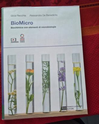 libri scuola superiore 