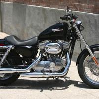 harley 883 low