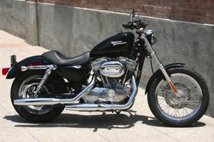 harley 883 low