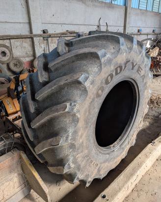 Pneumatico Goodyear 800/65 R32