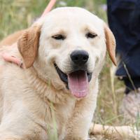 Mi regali una vita? Portami a casa con te