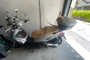 Beverly 500