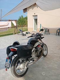 Moto Guzzi Breva 750 - 2009