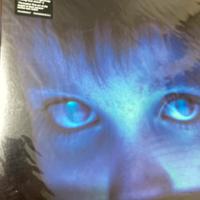 Porcupine Tree LP