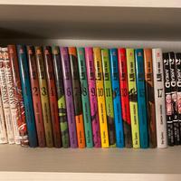 Anin completa + variant