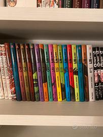 Anin completa + variant