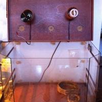 Teca per rettili - rettilario (geco, serpenti)