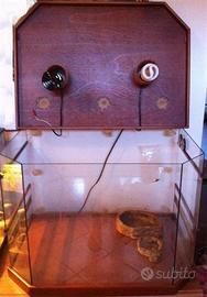 Teca per rettili - rettilario (geco, serpenti)