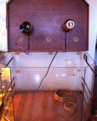 Teca per rettili - rettilario (geco, serpenti)